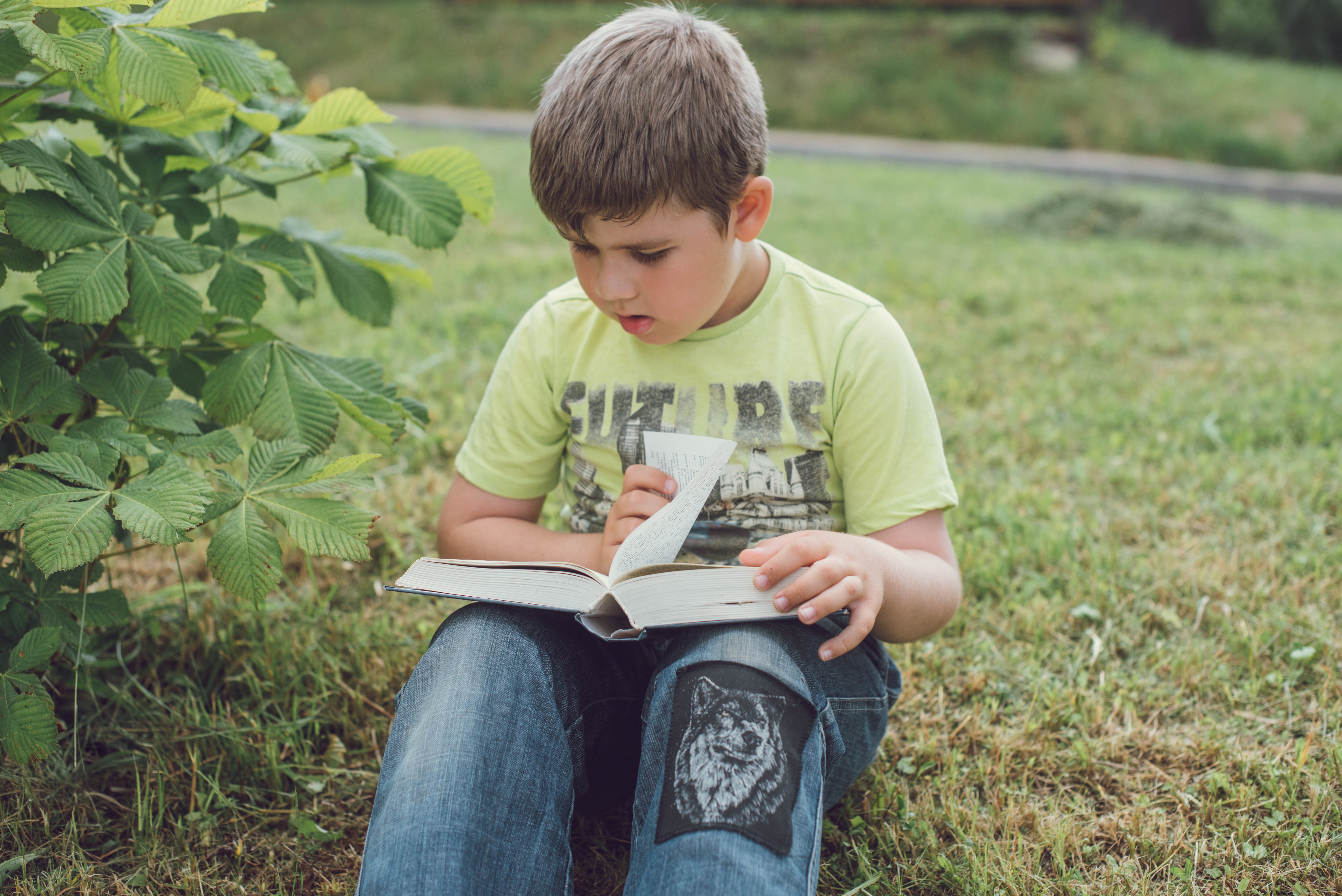 boy reading book