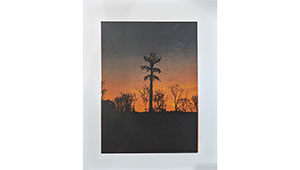 Sue Pitt, Wombourne Tree Screen Print