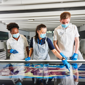 Centre of excellence nursing