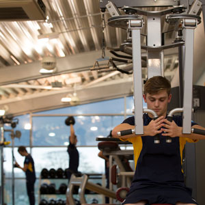image of people using gym equipment