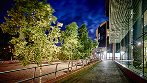 image outside Ambika Paul building at night