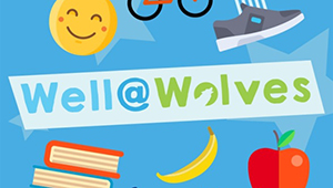 image showing well @ wolves image