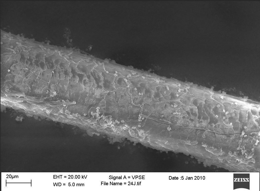 a close up image of hair