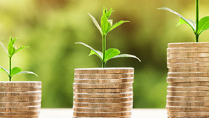 Stacks of pound coins on a windowsill with plants growing from the top of each stack
